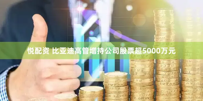 悦配资 比亚迪高管增持公司股票超5000万元