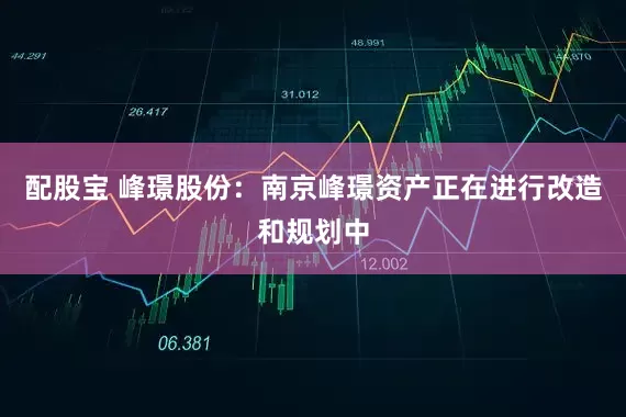配股宝 峰璟股份：南京峰璟资产正在进行改造和规划中
